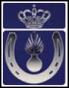 Logo Stichting Marechaussee Contact